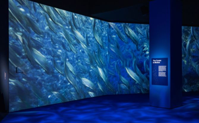Into the Ocean: Journey Beneath gallery image 2