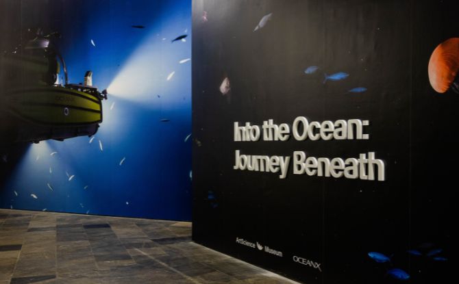Into the Ocean: Journey Beneath gallery image 3