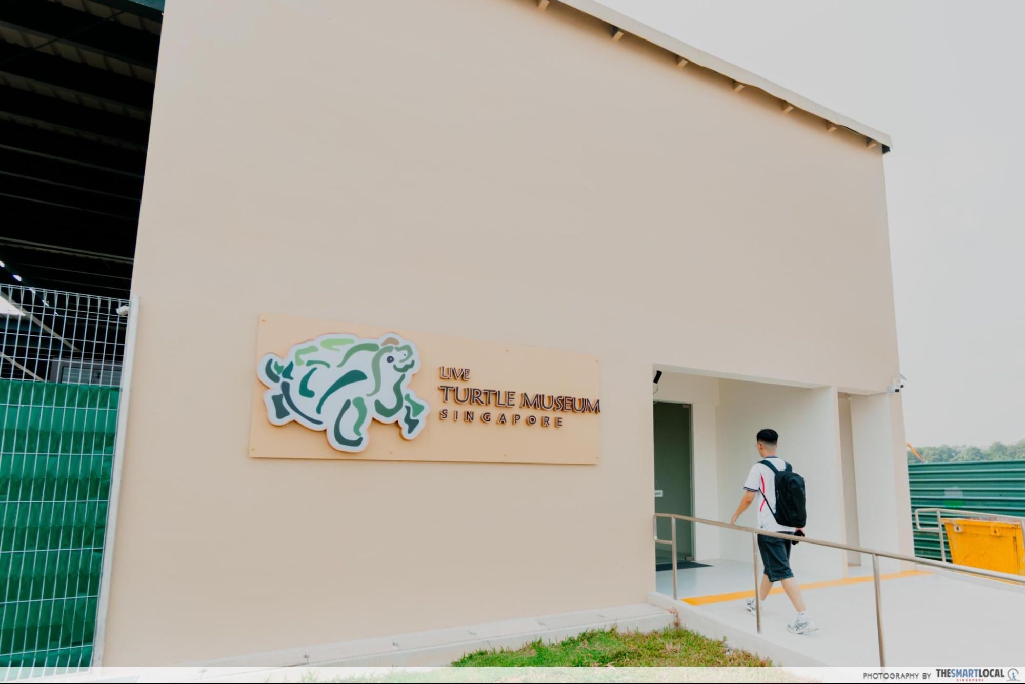 Live Turtle and Tortoise Museum of Singapore - Khatib