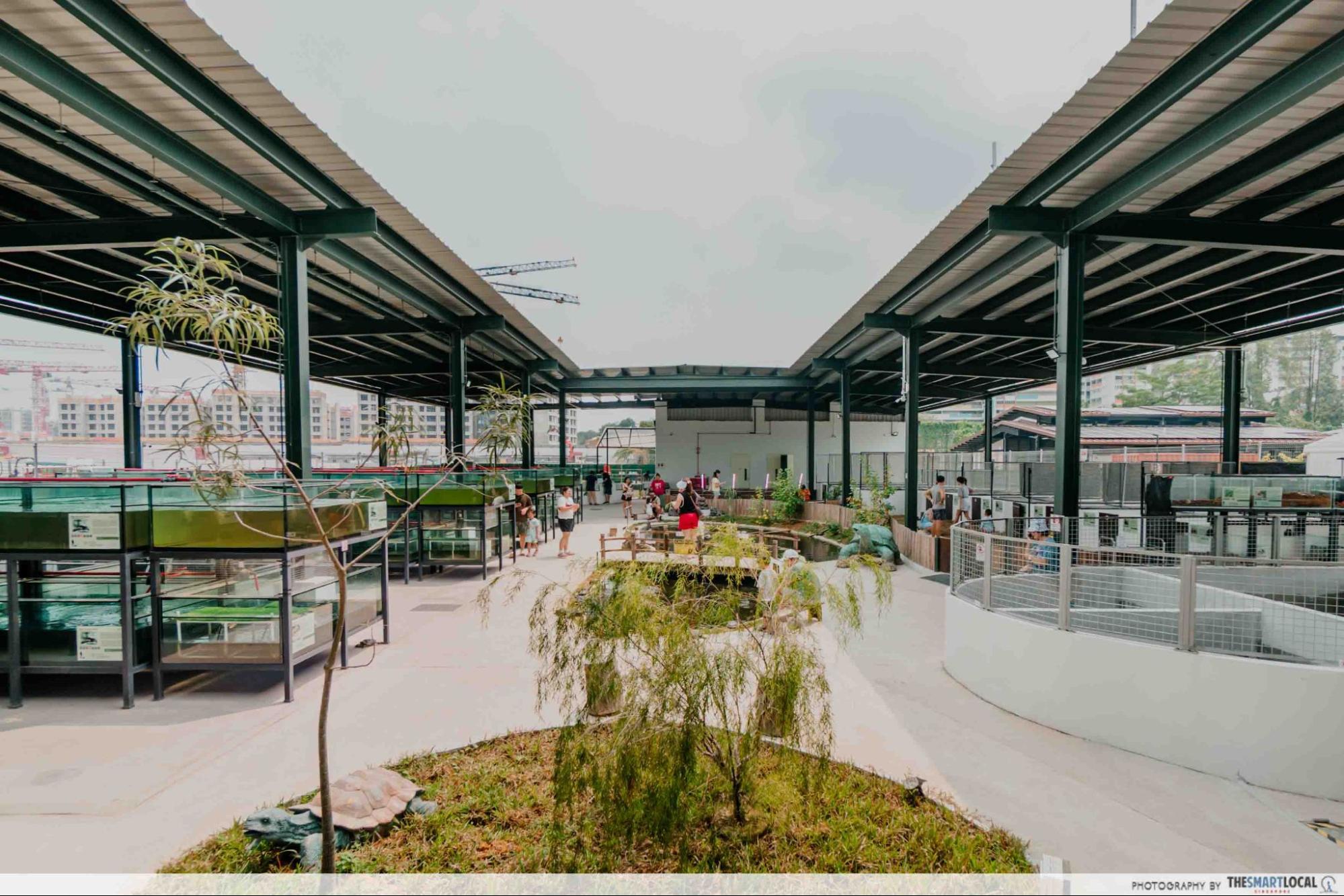 Live Turtle and Tortoise Museum of Singapore - Khatib gallery image 3