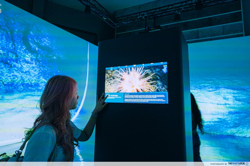 ONE Ocean: Every Action Ripples