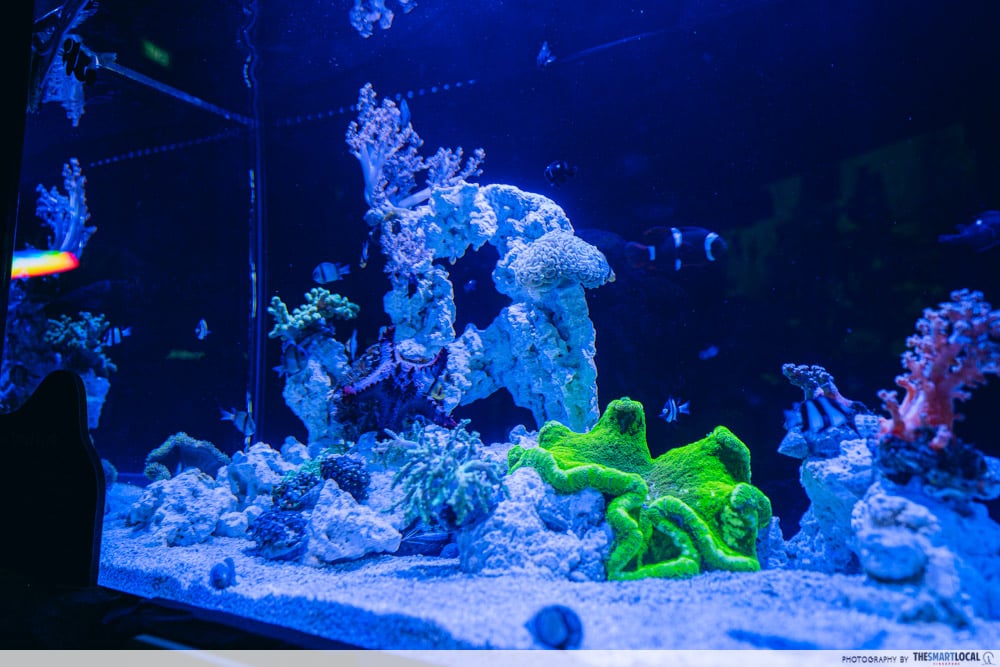 ONE Ocean: Every Action Ripples gallery image 2