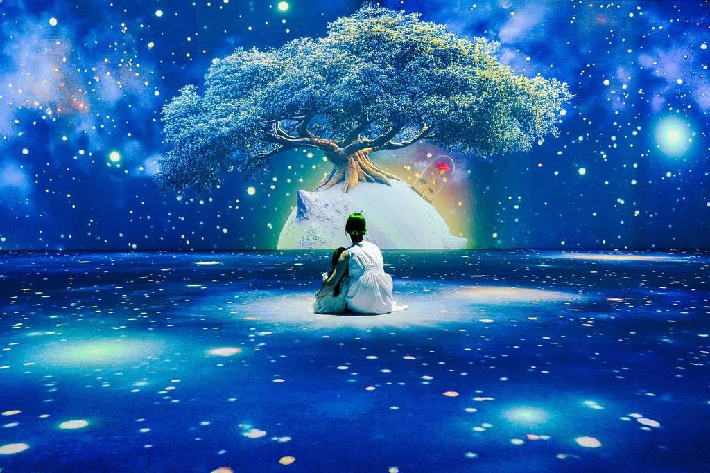 The Little Prince: Journey of Stars gallery image 3